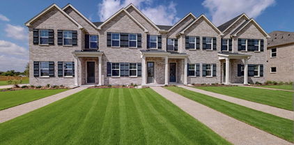 1840 Summer Aura, Mesquite