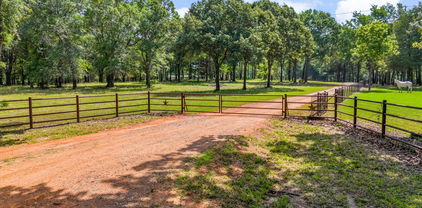 000 Vz County Road 4505, Ben Wheeler