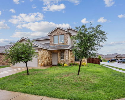 2259 Tombstone Dr, Forney