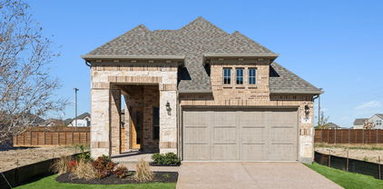 1817 Forest Wood, Mesquite