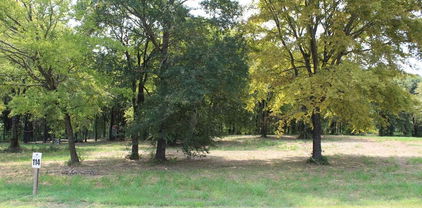 317 Cedar Creek Landing Ln, Mabank