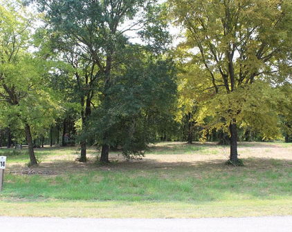 317 Cedar Creek Landing Ln, Mabank
