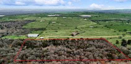TBD Cr-4059, Kemp