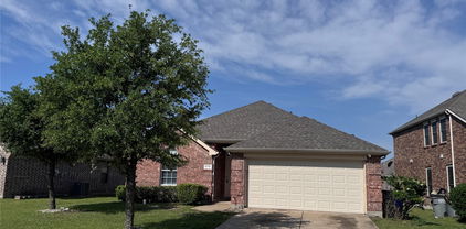 2110 Fresia Ln, Forney