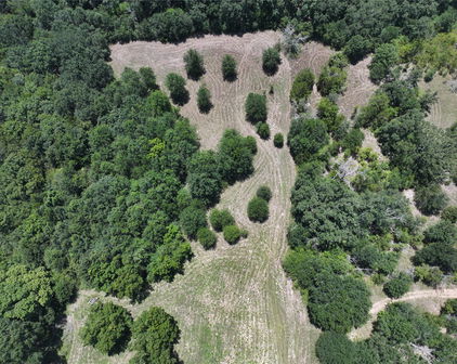 Co Rd 110, Kaufman