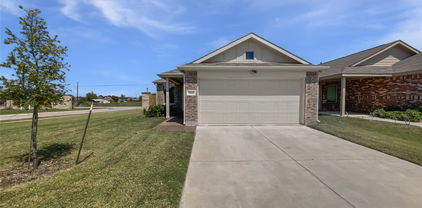 1338 Canyon Wren Dr, Forney