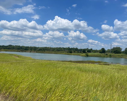 Lot 7 County Road 334, Quinlan