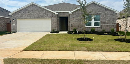 4109 Buffalo Grass Trl, Crandall
