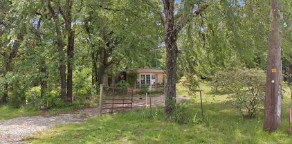 17462 Cherry Blossom, Kemp