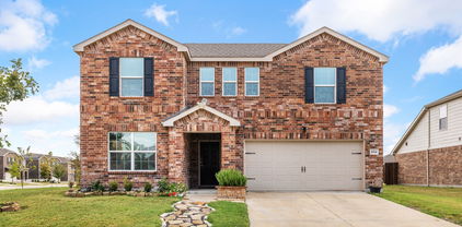 1014 Rio Frio Dr, Forney
