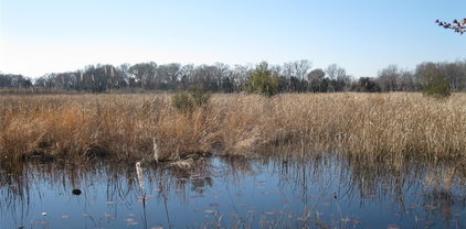 TBD 133 AC +- Vz County Rd, Ben Wheeler