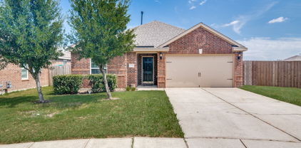 2114 Foxglove Ct, Forney