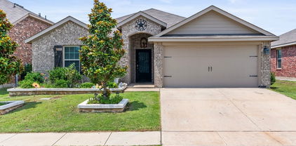 2303 Pontotoc Dr, Forney