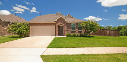 3810 S Courtney Ct, Forney