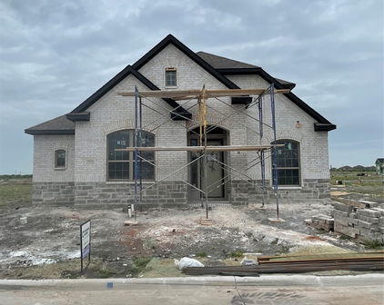 9332 Crimson Sweet, Mesquite