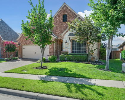 1007 Somerset Cir, Forney