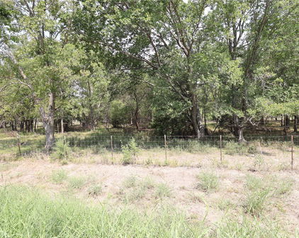 Lot 11B TBD County Road 4127, Scurry