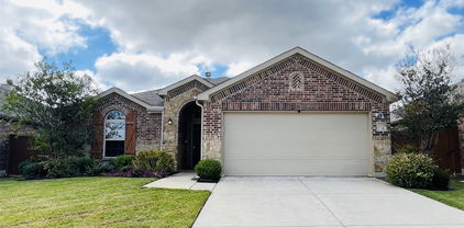 3103 Buckthorn St, Forney