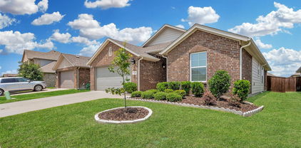 2308 Mount Olive Ln, Forney