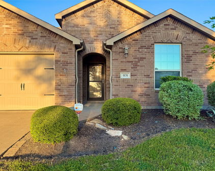 1131 Grimes Dr, Forney