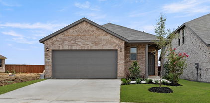 1744 Osage, Mesquite