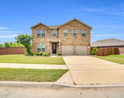 1950 Drusy Way, Forney