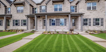 1804 Summer Aura, Mesquite