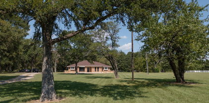 6373 Fm 2101, Quinlan