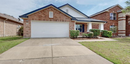 1008 Talpa Ln, Forney