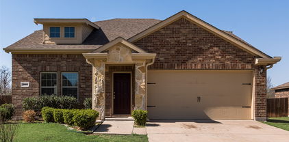 3005 Daybreak Trl, Mesquite