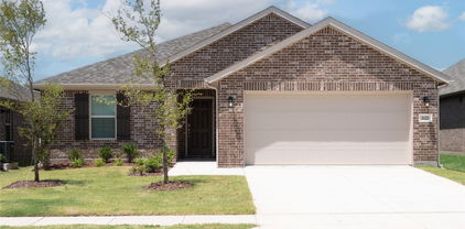 1620 Etosha Dr, Royse City