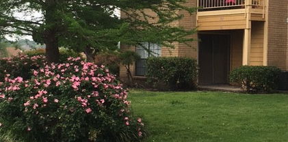 5801 Marvin Loving Dr Unit 311, Garland