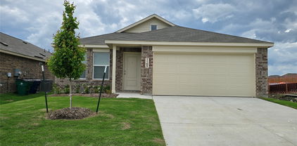 1165 Barbary Fields St, Forney