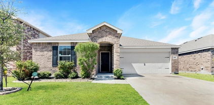 1117 Ainsley Ln, Forney