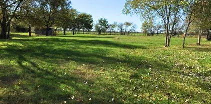 1300 S Hwy 205, Mclendon Chisholm