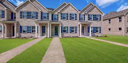 1836 Summer Aura, Mesquite
