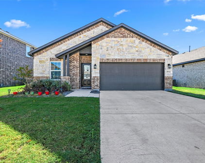 2052 Placerville St, Forney