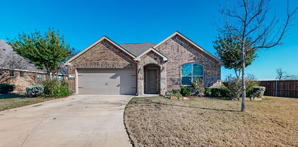 100 Antler Trl, Forney