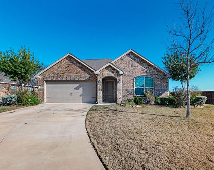 100 Antler Trl, Forney