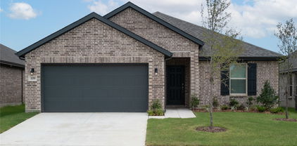 109 Corcovado Ave, Royse City