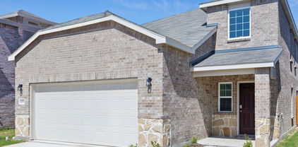 1009 Clear Dusk Ln, Forney