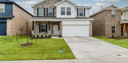 2408 Lundy Canyon St, Forney