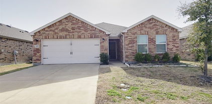 1021 Norias Dr, Forney
