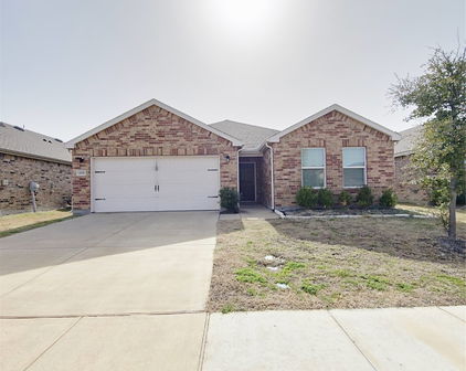1021 Norias Dr, Forney