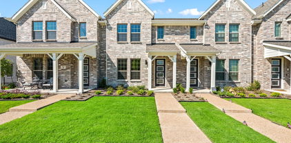 1821 Summer Aura, Mesquite