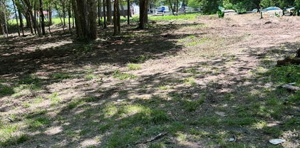 Lot 12 Cr 3732, Wills Point