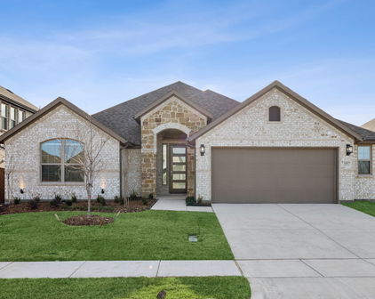 1117 Alaska, Forney