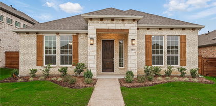 1804 Night Owl Way, Mesquite