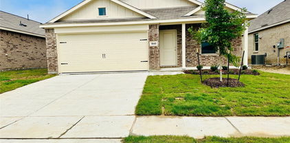 1543 Gentle Night Dr, Forney
