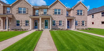 1816 Summer Aura, Mesquite